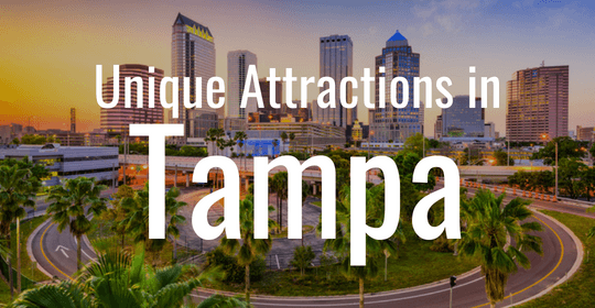 unique attractions in tampa