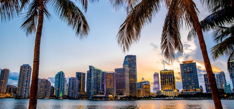 Miami skyline