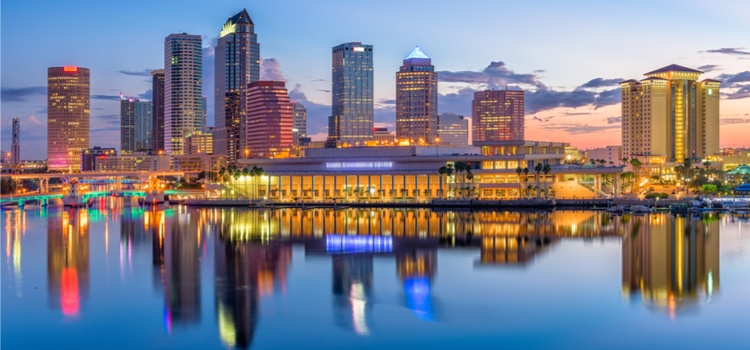 tampa florida skyline