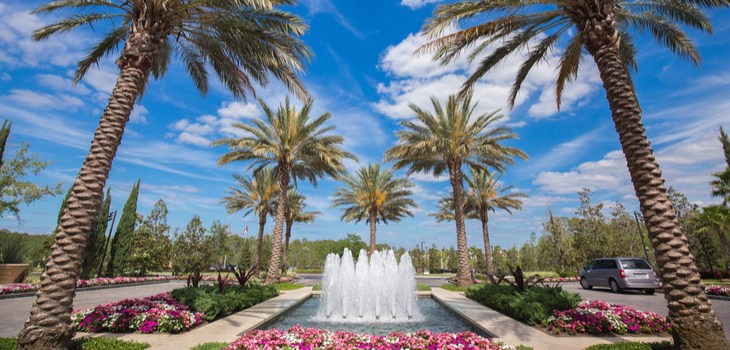 Flower garden at Walt Disney World