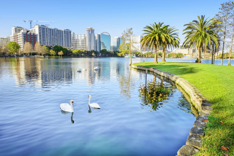 The water at Lake Eola Park